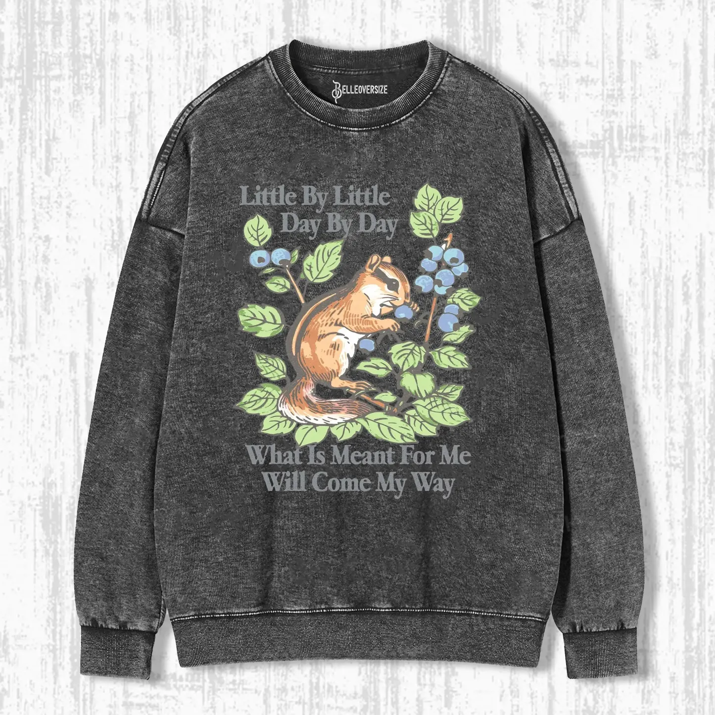 LITTLE BY LITTLE DAY BY DAY SWEATSHIRTS