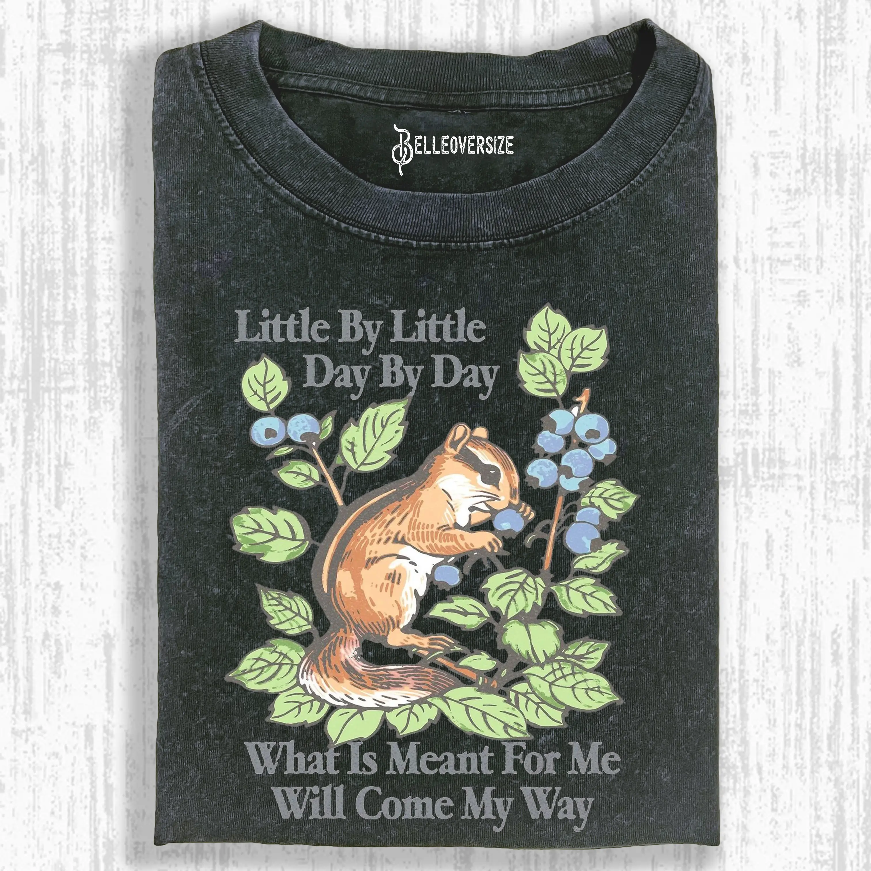 LITTLE BY LITTLE  DAY BY DAY  T-SHIRT