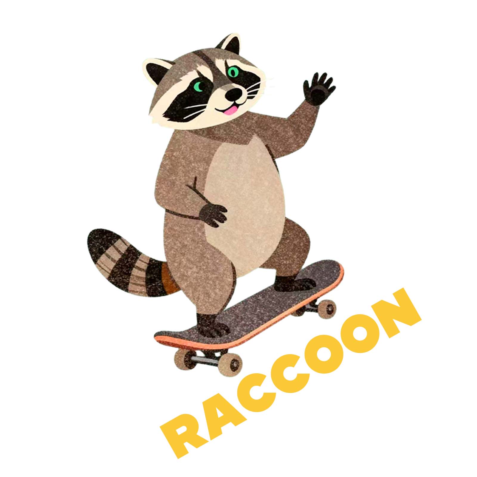 RACCOON