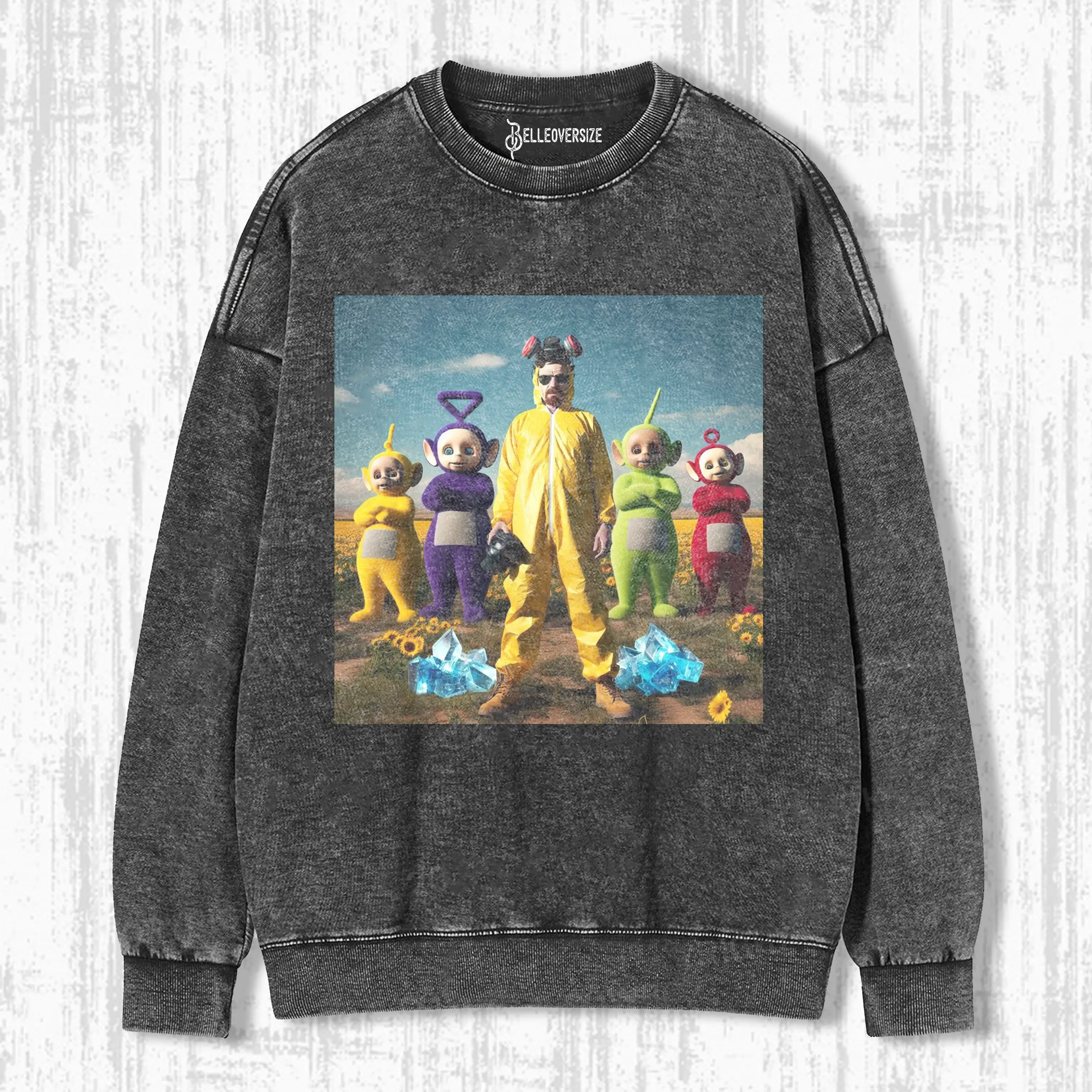Teletubbies 12.18 SWEATSHIRTS