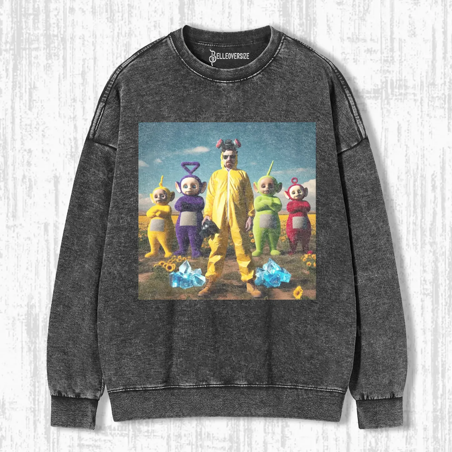 Teletubbies 12.18 SWEATSHIRTS