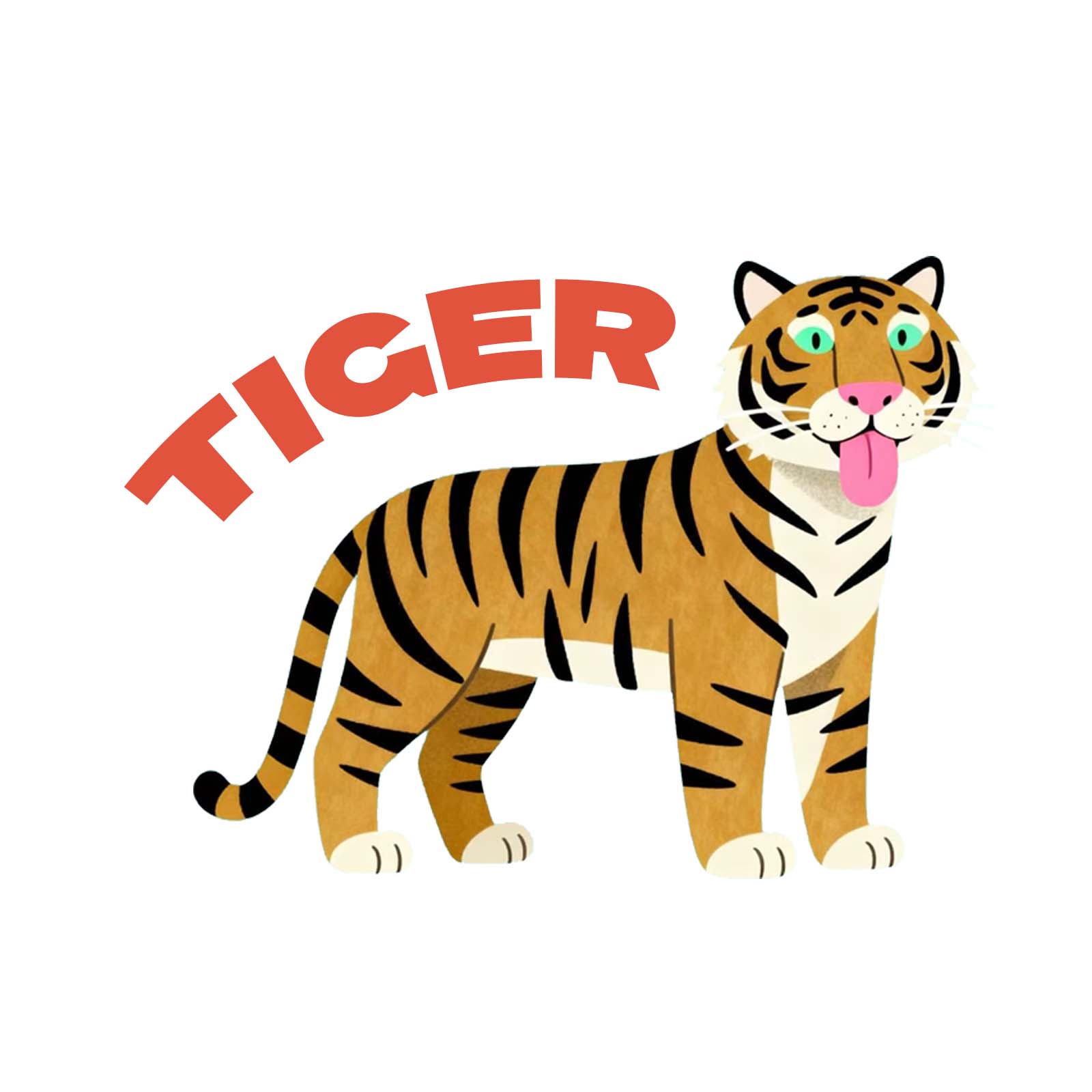 TIGER