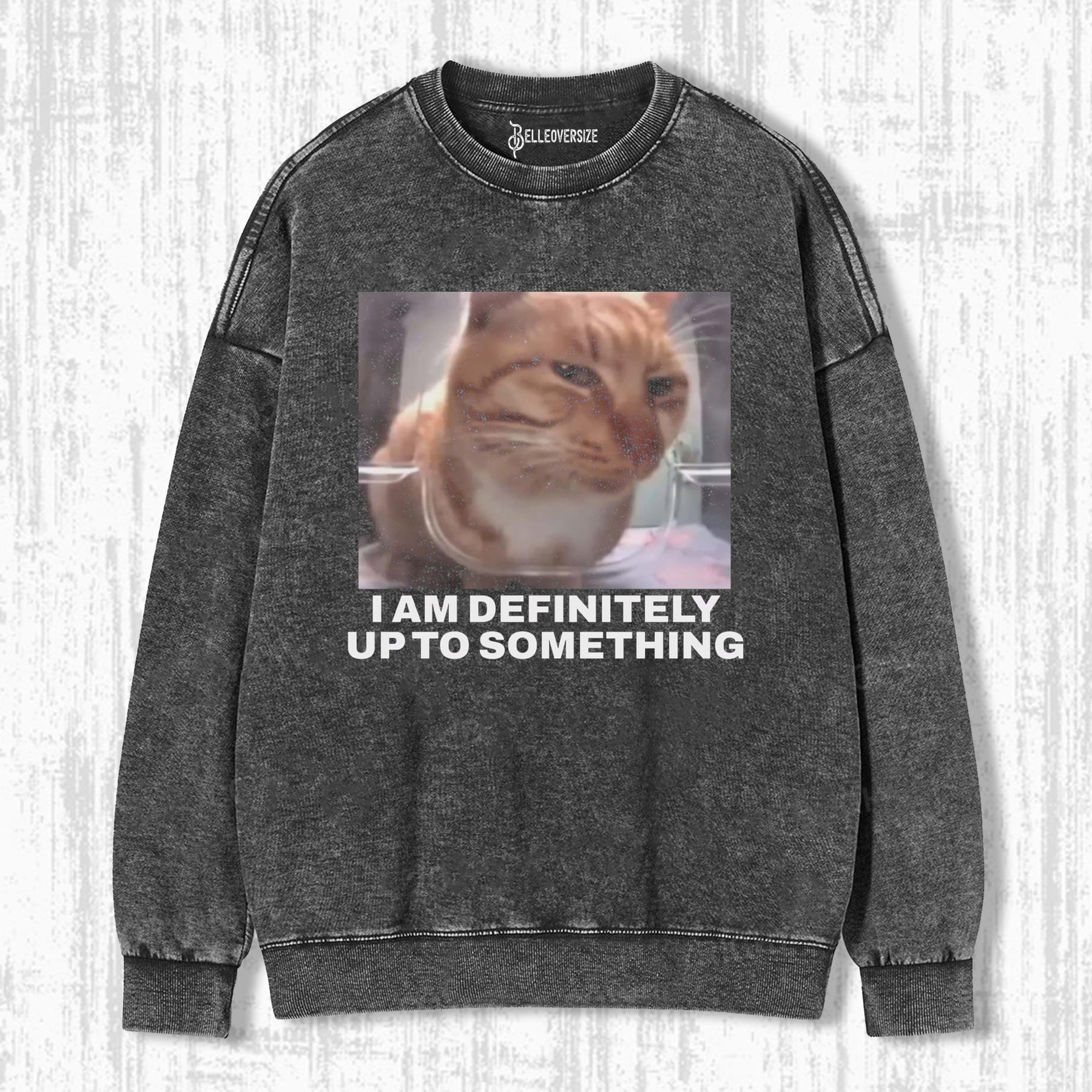 WACKY CAT SWEATSHIRTS