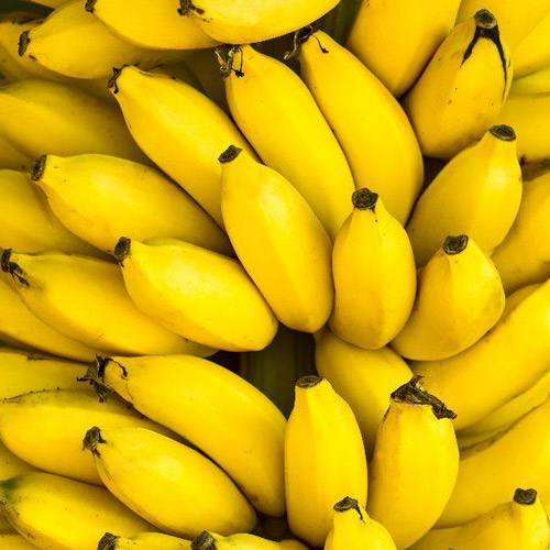 [Global-CN05] Magical Flavour Fruit Concentrated Flavors