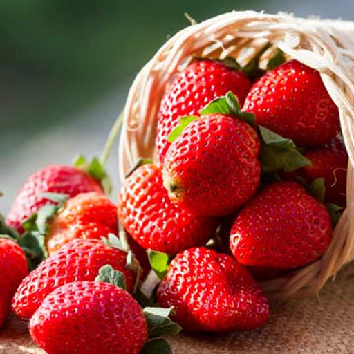 [Global-CN05] Magical Flavour Fruit Concentrated Flavors