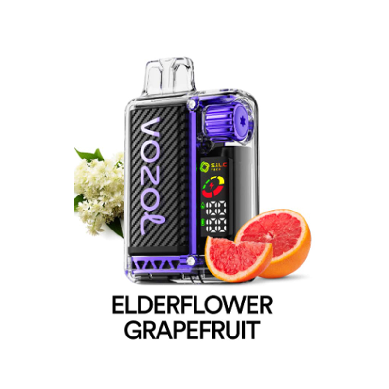 [Europe-PL01] Authentic VOZOL Vista 20000 Kit 24ml