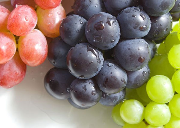 [Global-CN05] Magical Flavour Fruit Concentrated Flavors