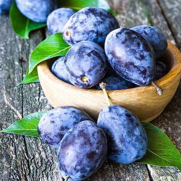 [Global-CN05] Magical Flavour Fruit Concentrated Flavors