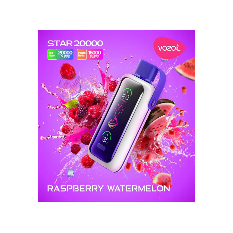[Europe-PL01] Authentic VOZOL STAR 20000 Kit 24ml