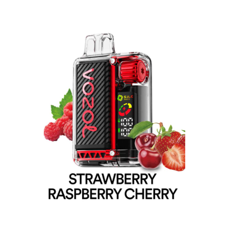 [Europe-PL01] Authentic VOZOL Vista 20000 Kit 24ml