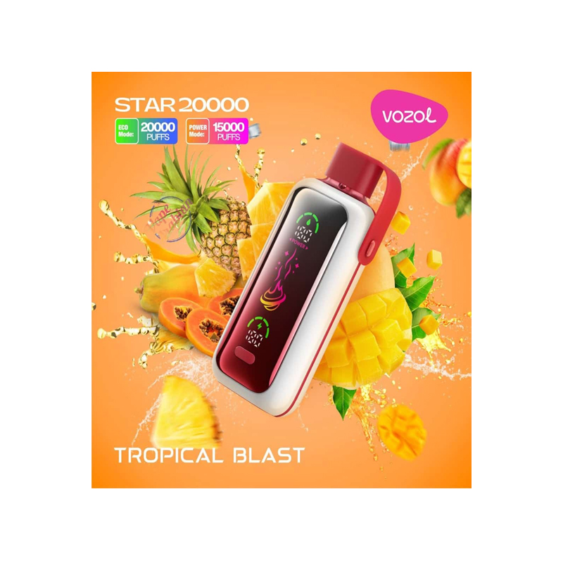 [Europe-PL01] Authentic VOZOL STAR 20000 Kit 24ml