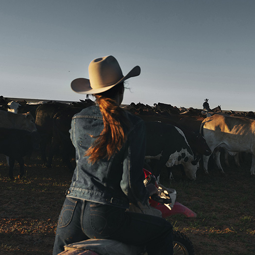 Growing in a family business: Callistari’s innovative spirit and family values-RIEISS