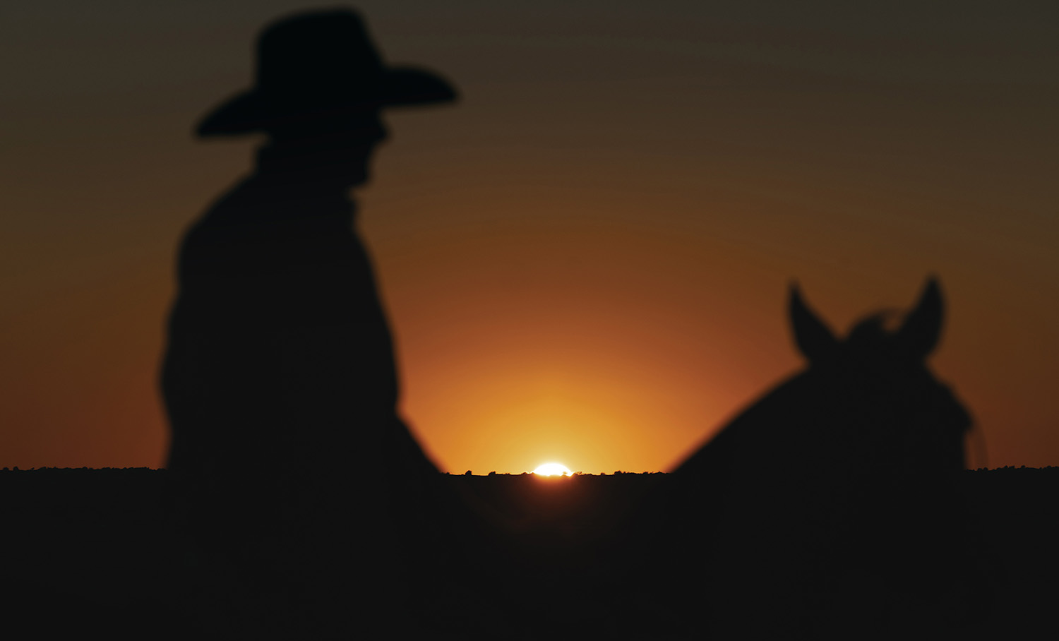 Callistari’s Global Reach: How to Break into the U.S. Market and Succeed-RIEISS