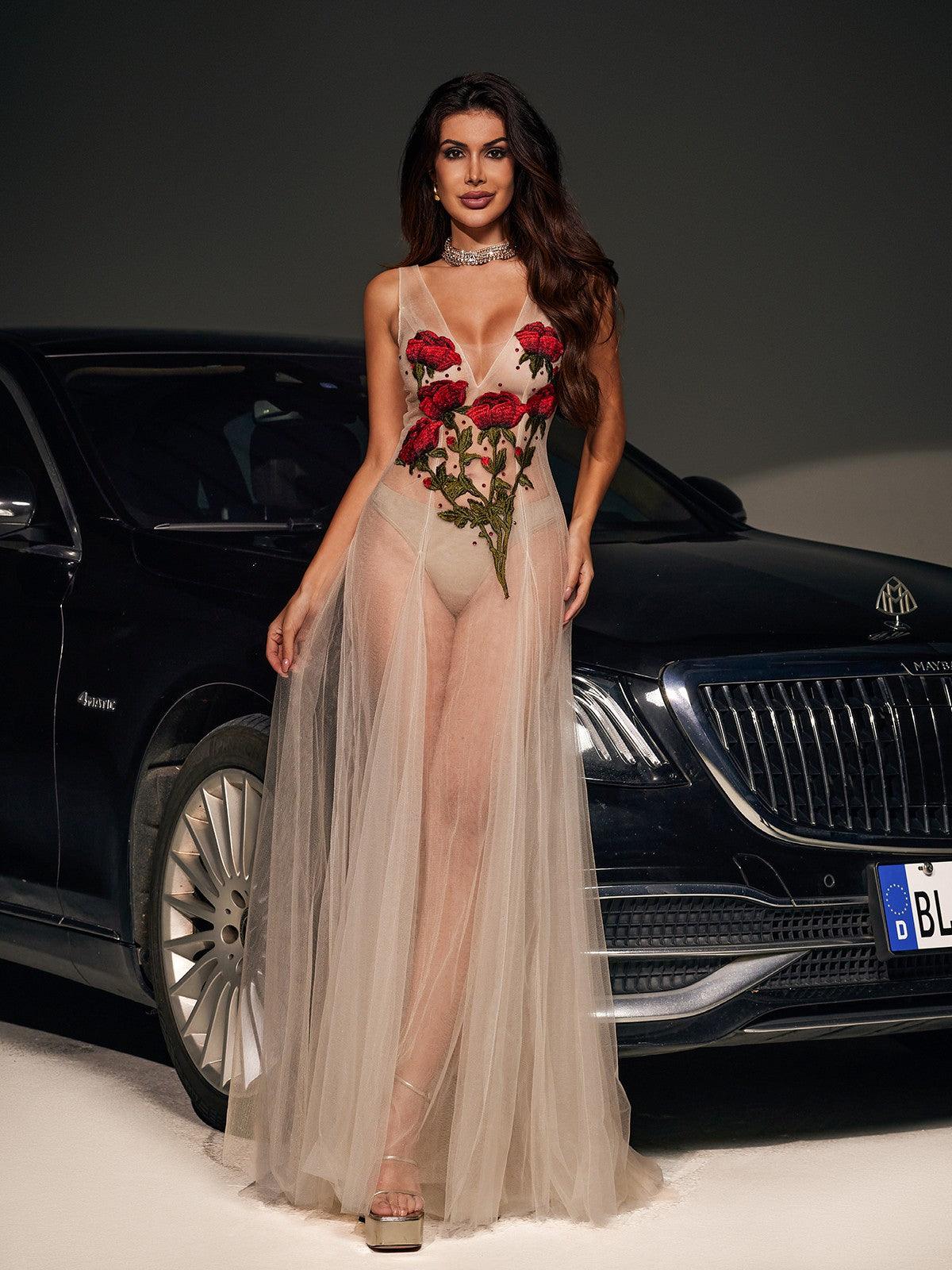 Kateri V Neck Flower Embroidered Mesh Dress - Mew Mews