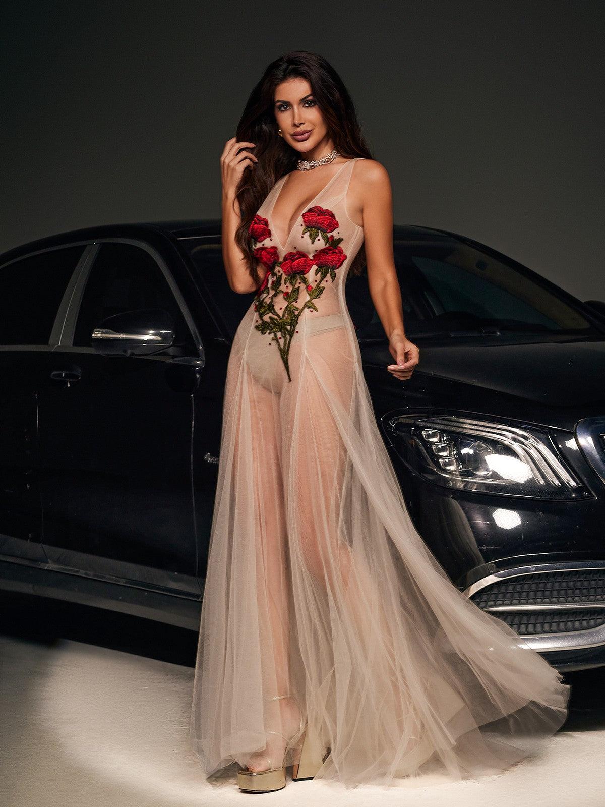 Kateri V Neck Flower Embroidered Mesh Dress - Mew Mews