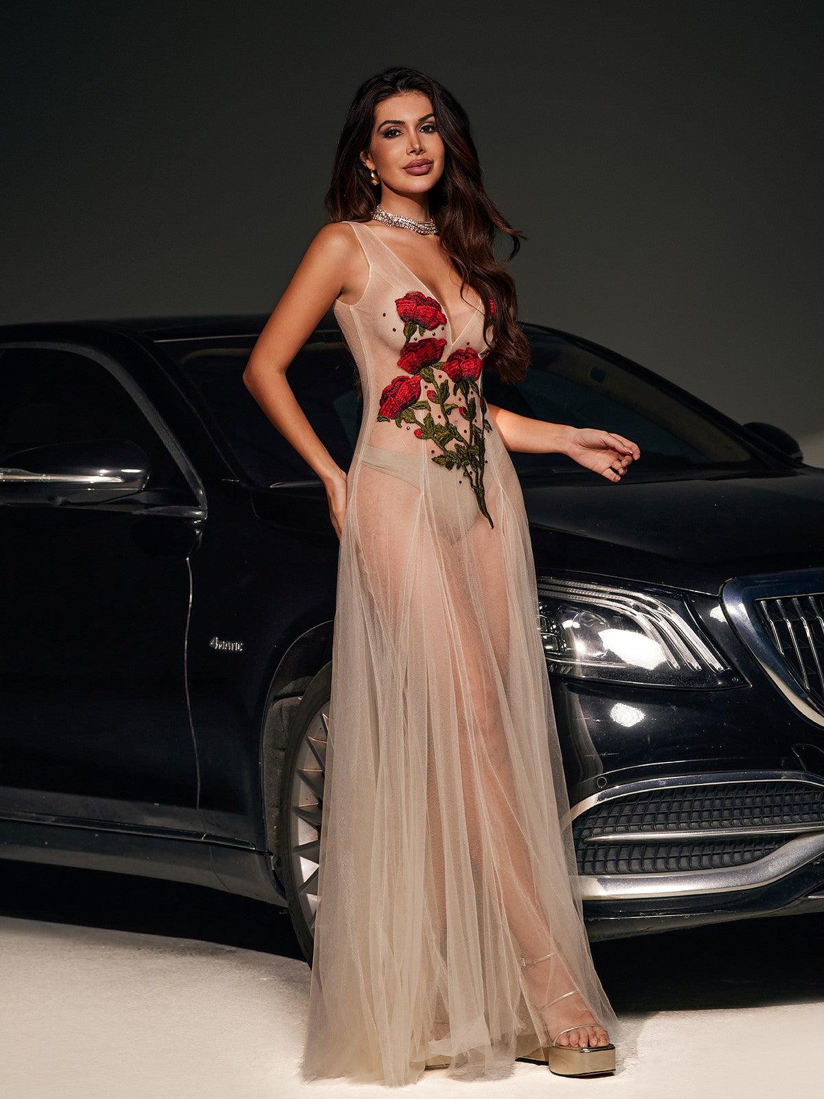 Kateri V Neck Flower Embroidered Mesh Dress - Mew Mews