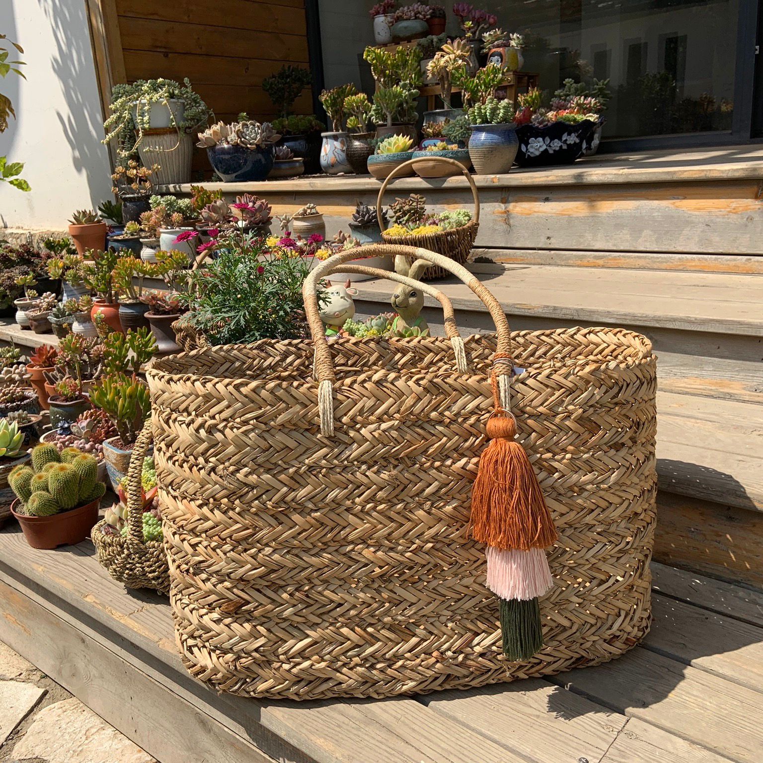 The Flora-CALLISTARI