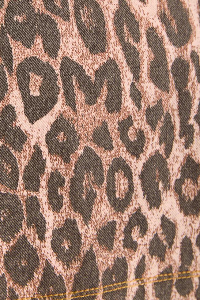 Leopard Print Mini Dress-aritzao