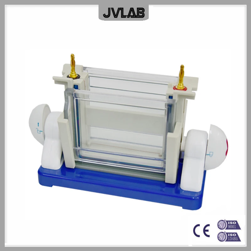 Vertical Electrophoresis Cell Apparatus Modular Dual Vertical Electrophoresis DYCZ-24DH For SDS PAGE Protein Electrophoresis