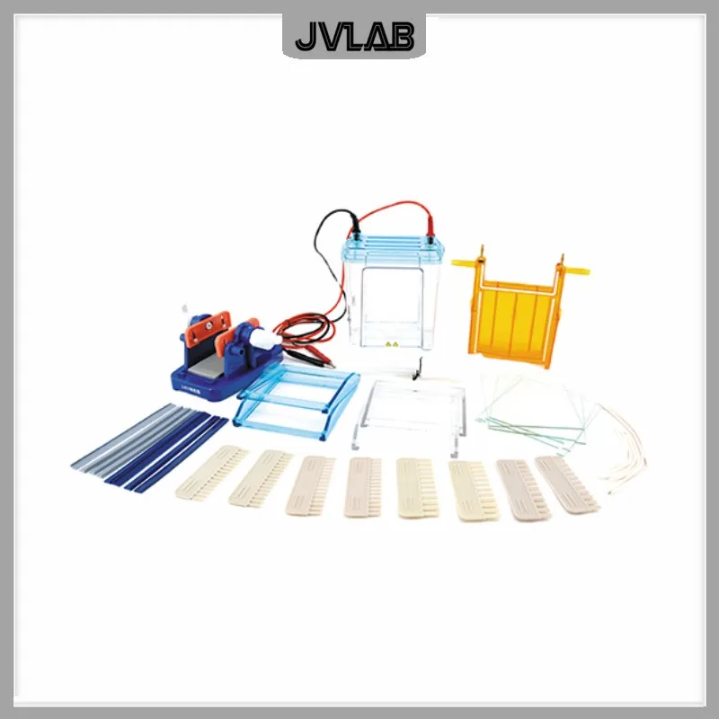 Gel Electrophoresis Cell Middle Modular Dual Vertical Protein Electrophoresis Tank DYCZ-24EN For SDS-PAGE Protein Experiment