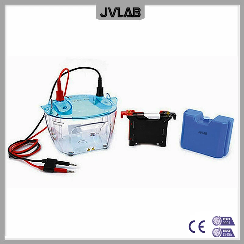 Trans-Blotting Electrophoresis Cell Transfer Electrophoresis Cell DYCZ-40K For Charged Particles Biochemical Analysis & Research