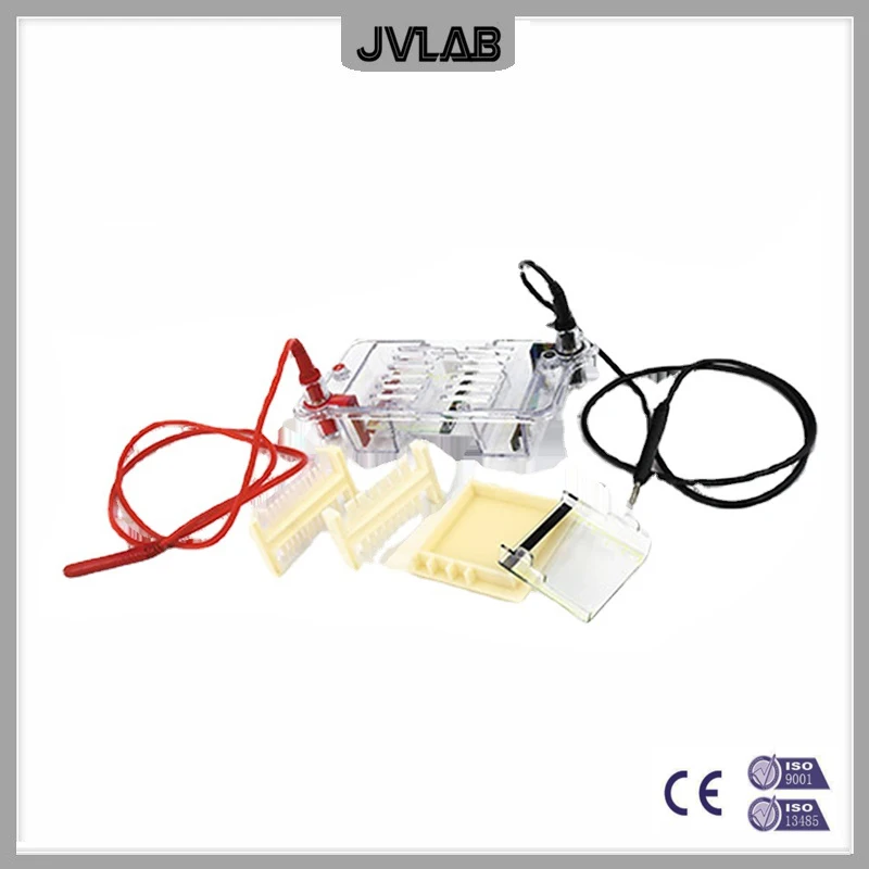Nucleic Acid Horizontal Electrophoresis Cell Middle Agarose Electrophoresis Apparatus DYCP-31E For DNA Prepare Separate Identify