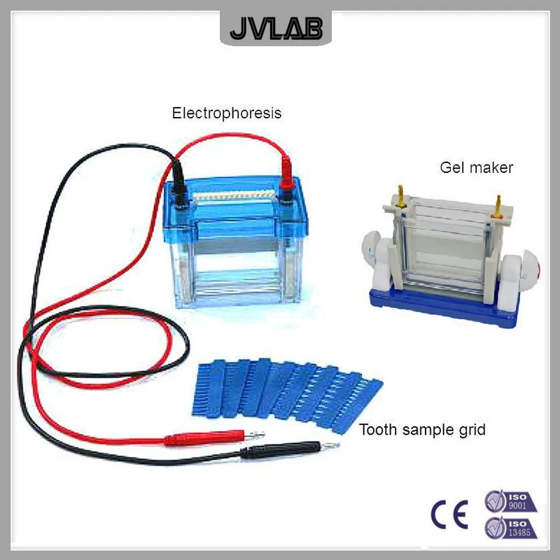 Vertical Electrophoresis Cell Apparatus Modular Dual Vertical Electrophoresis DYCZ-24DH For SDS PAGE Protein Electrophoresis