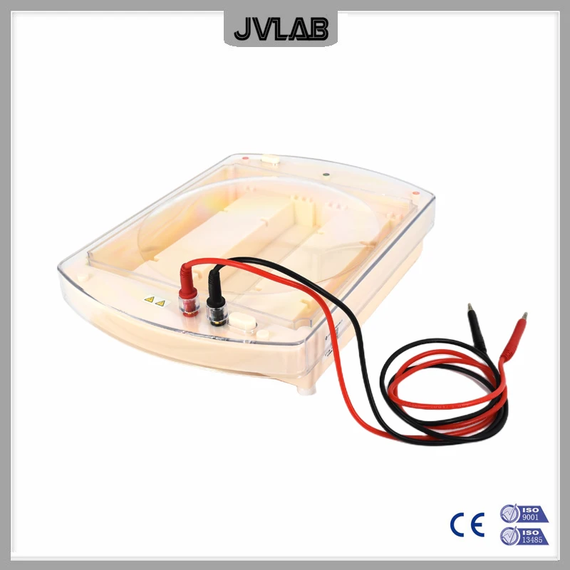 Cellulose Acetate Film Electrophoresis Cell DYCP-38C Use For Various of Papers Cellulose Acetate Films Slide Electrophoresis