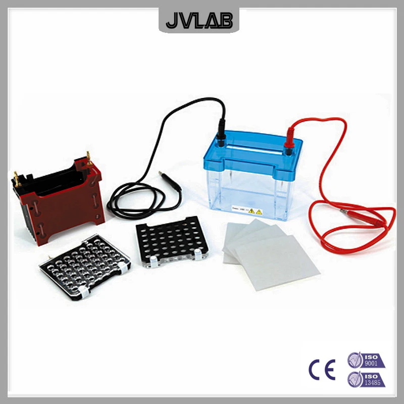 Trans-Blotting Electrophoresis Cell Mini Transfer Electrophoresis Tank DYCZ-40D For WesternBlot Experiment Use With DYCZ-24DN
