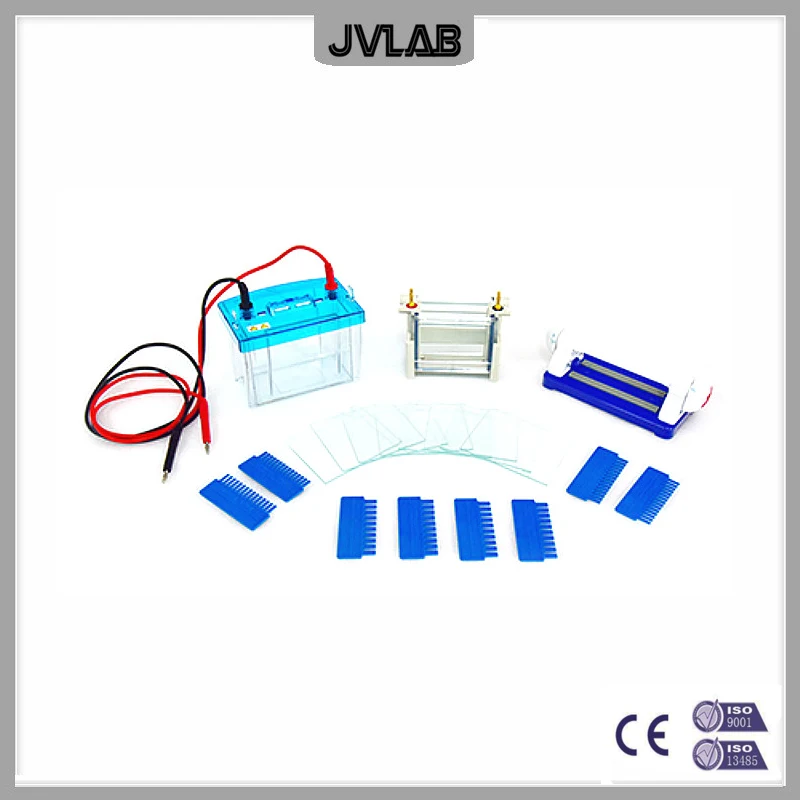 Vertical Electrophoresis Cell Apparatus Modular Dual Vertical Electrophoresis DYCZ-24DH For SDS PAGE Protein Electrophoresis