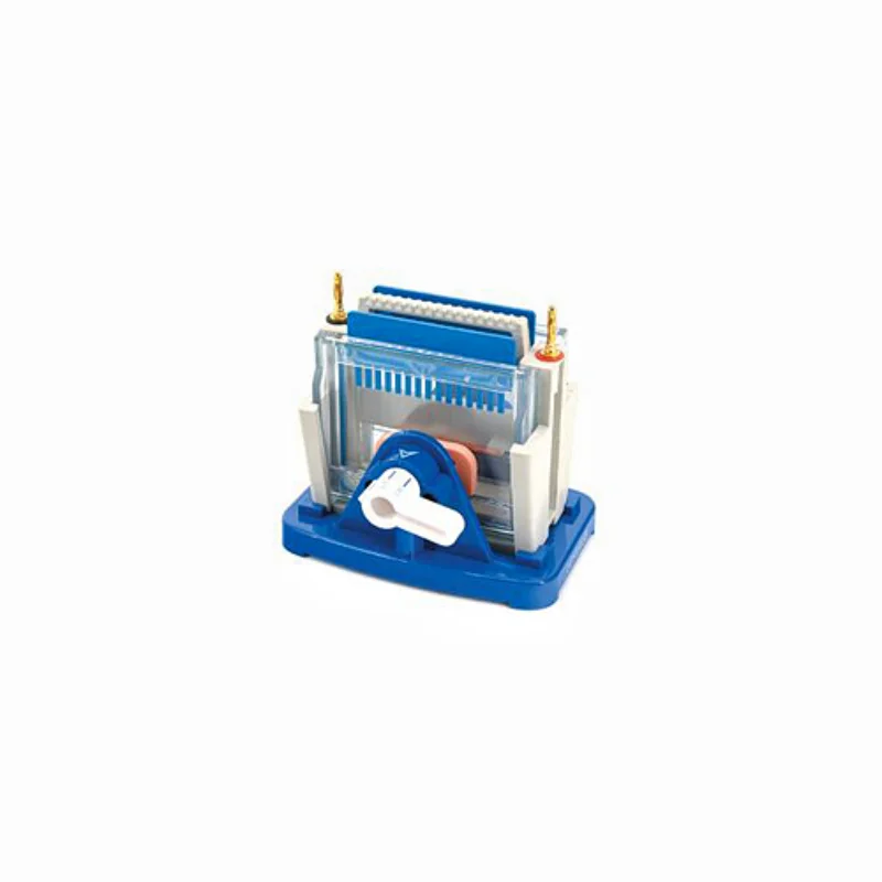 Gel Electrophoresis Cell Mini Modular Dual Vertical Protein Electrophoresis Tank DYCZ-24DN For SDS-PAGE Protein Experiment