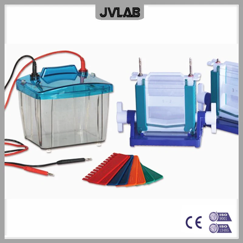 Protein Electrophoresis Cell P4 Vertica Protein Electrophoresis Tank DYCZ-25E For SDS-PAGE Experiment