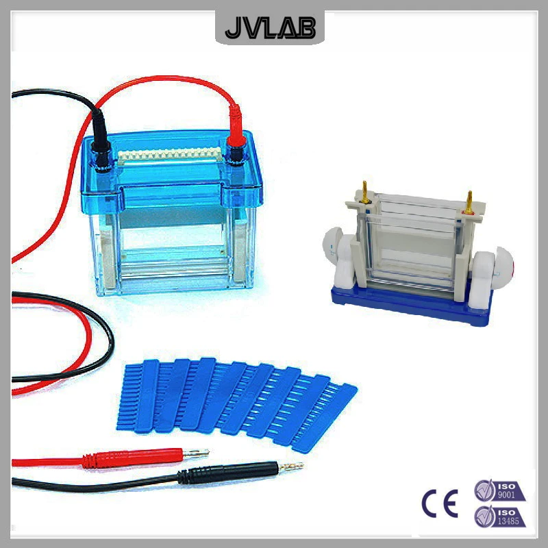 Vertical Electrophoresis Cell Apparatus Modular Dual Vertical Electrophoresis DYCZ-24DH For SDS PAGE Protein Electrophoresis