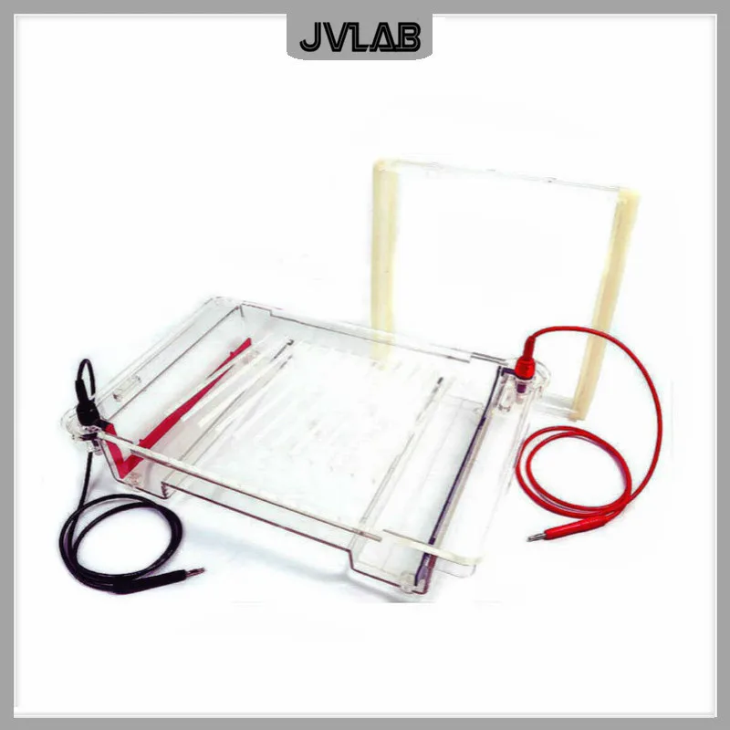 Nucleic Acid Horizontal Electrophoresis Cell Large Agarose Electrophoresis Apparatus DYCP-32C For DNA Prepare Separate Identify