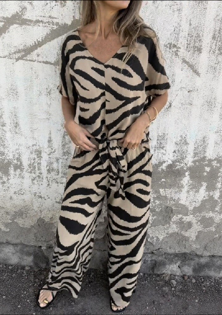 Relaxed Zebra Print V-Neck Tie Waist Two-Piece Set