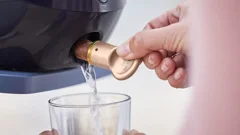 Easy&nbsp;De-Calc&nbsp;Plus