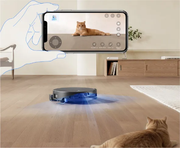 Stratégie optimisée pour les foyers avec animaux