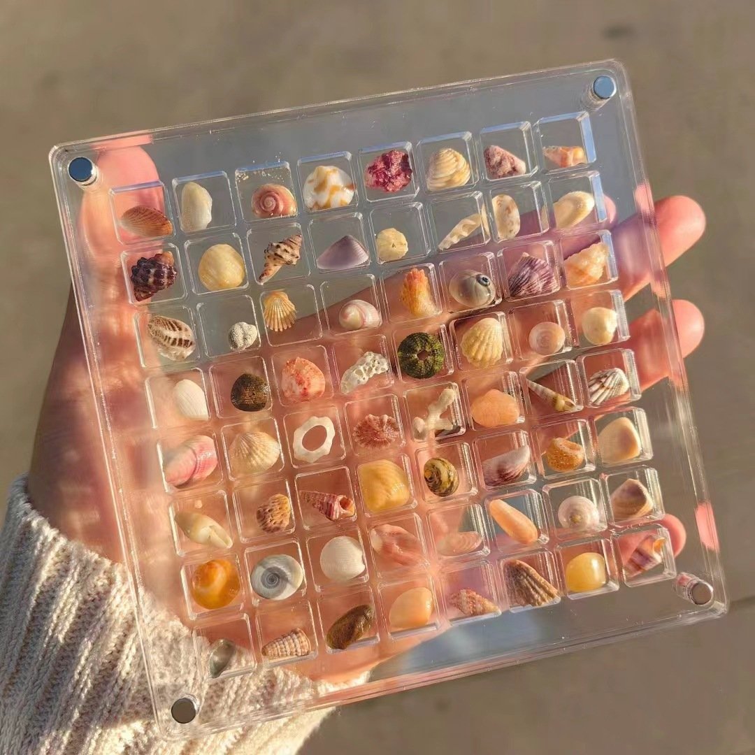 Last Day 49%-Acrylic Magnetic Seashell Display Box