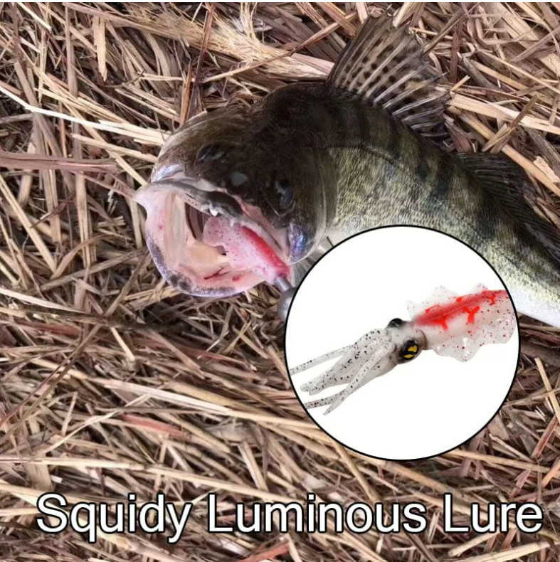 💥LAST DAY 49% OFF💥 - Squidy Luminous Lure