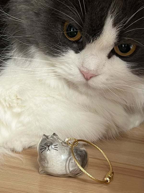 Fur-ever Loved Cat Hair Memorial Pendant