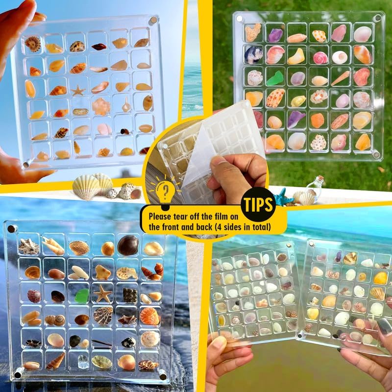 Last Day 49%-Acrylic Magnetic Seashell Display Box