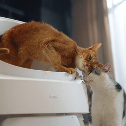 PetPivot Autoscooper 11 Open-top Self-cleaning Smart Cat Litter Box