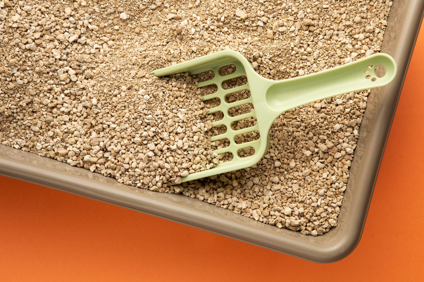 How to choose between open and closed self-cleaning cat litter boxes?-PetPivot