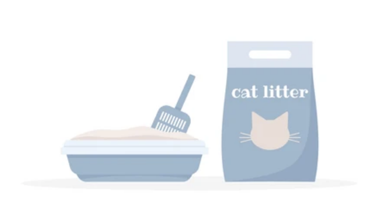 Which type of litter is best for cats?-PetPivot