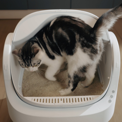 PetPivot Autoscooper 11 Open-top Self-cleaning Smart Cat Litter Box