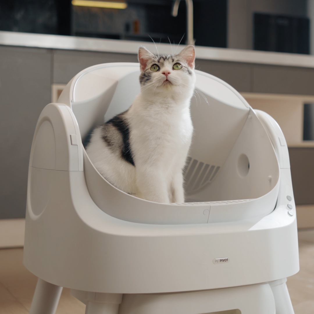 Autoscooper 11 Open-top Self-cleaning Smart Cat Litter Box-PetPivot 