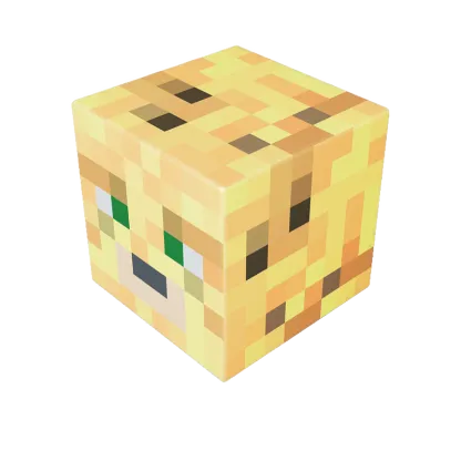 Individual Magnetic Blocks