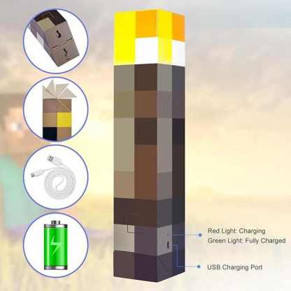 Torch Light