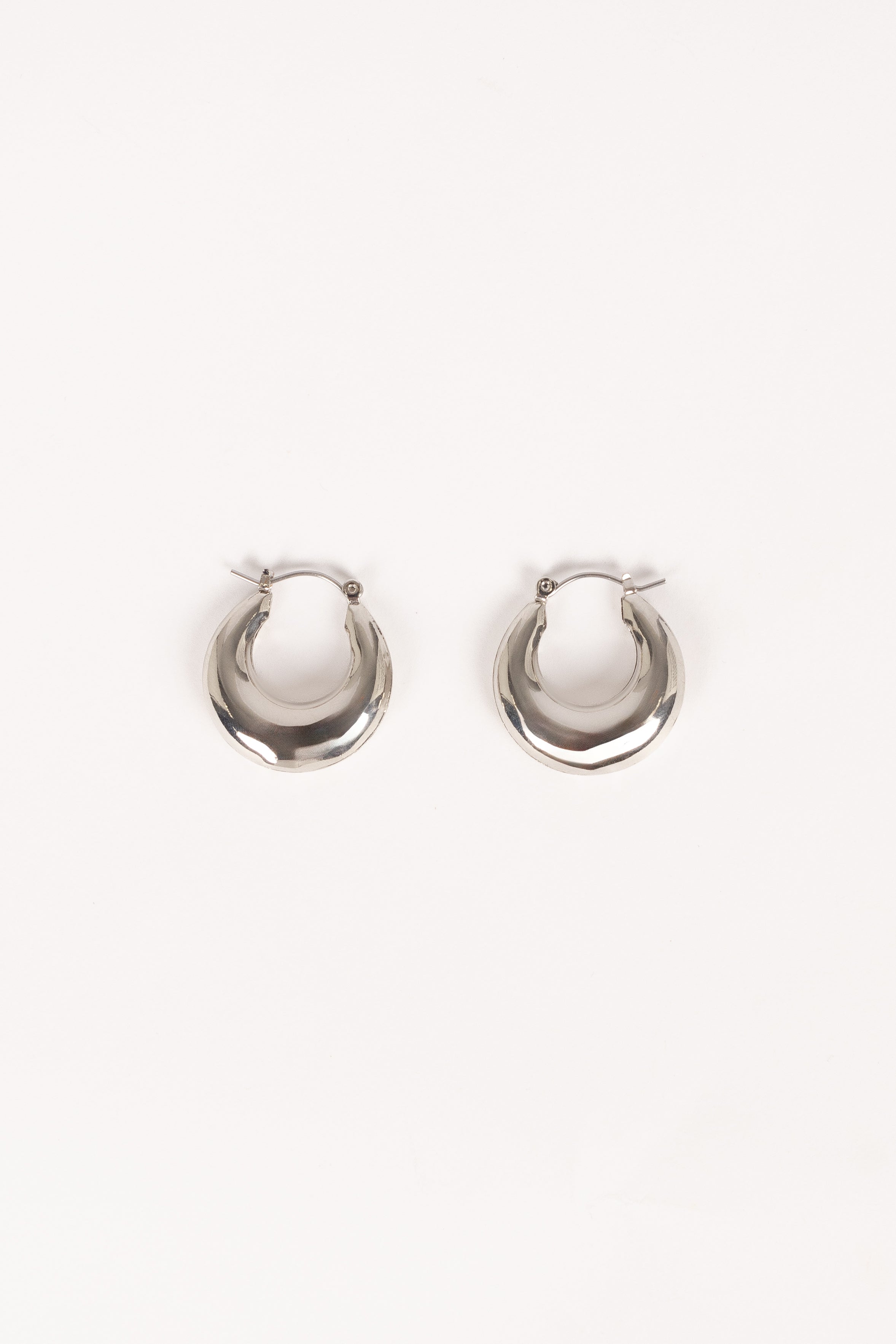 James Hoop Earrings - Silver-Aur Fashion