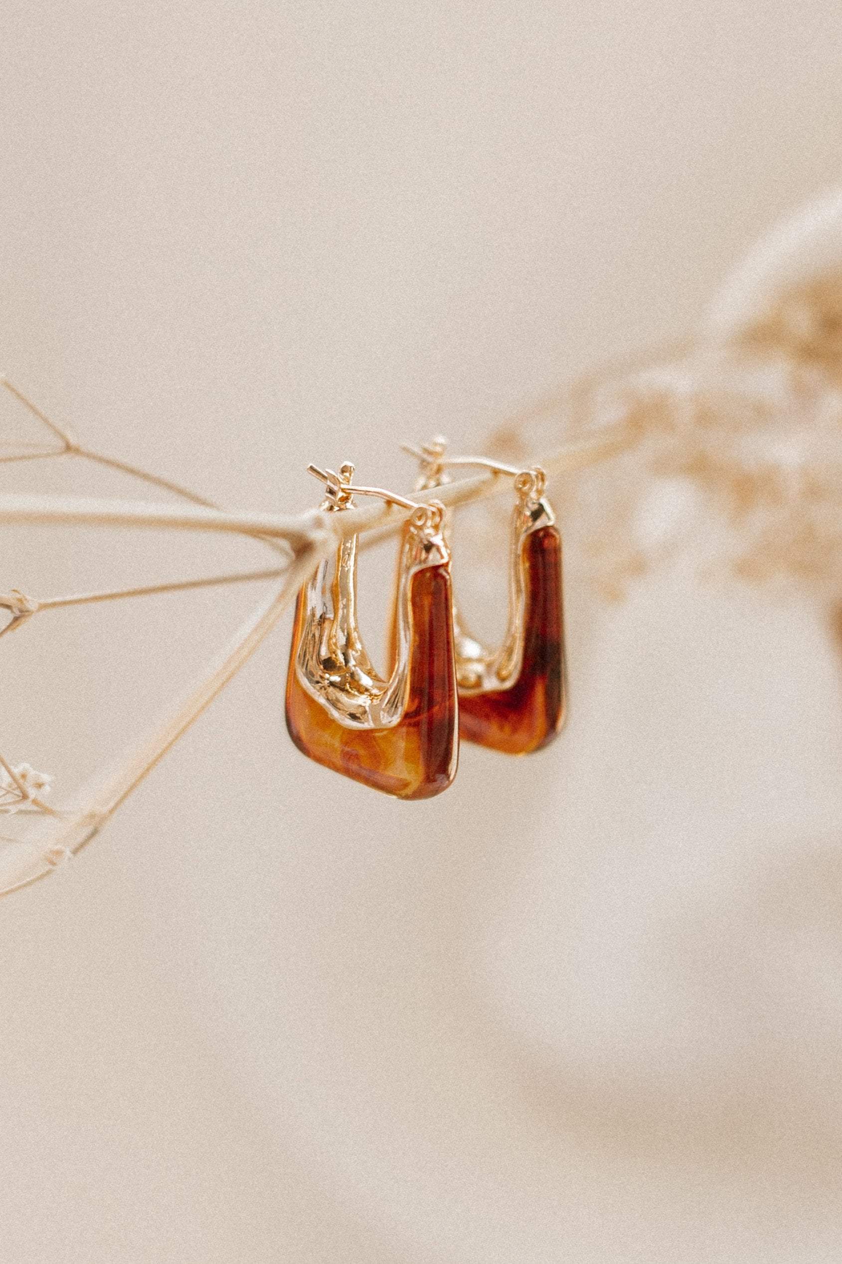 Minsi Earrings - Brown-Aur Fashion